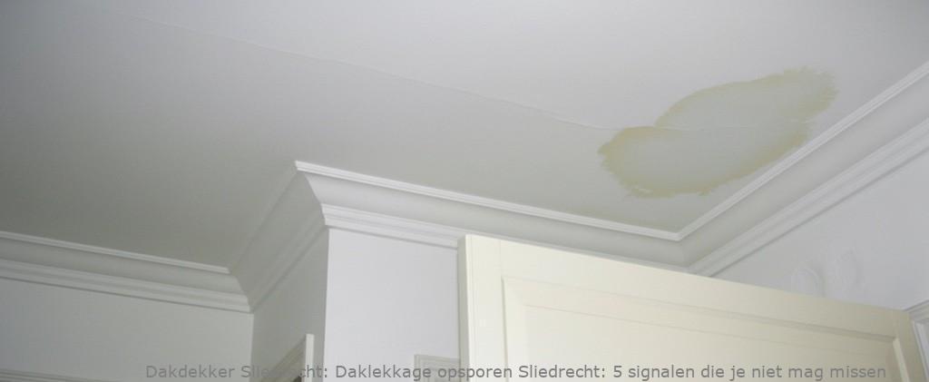 Daklekkage Opsporen Sliedrecht 1