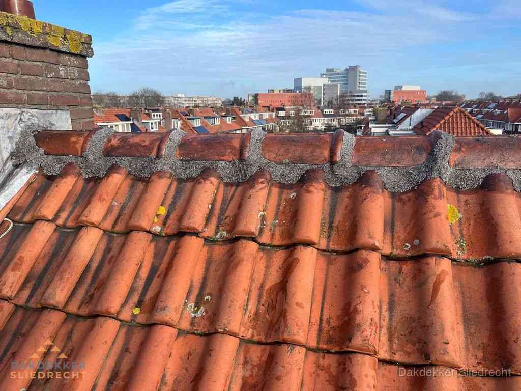 Sliedrecht Daken Renoveren
